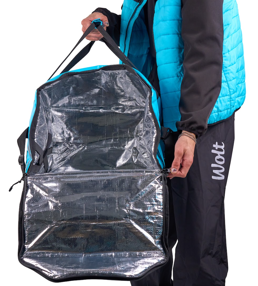 Car Delivery Bag